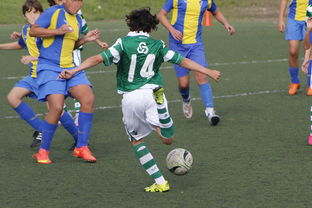 九游用户空间-体育纪录片内容更加丰富，体育纪录片主题